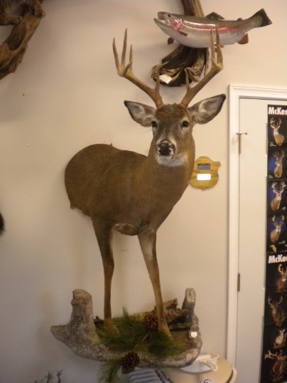 Local 1/2 Mount